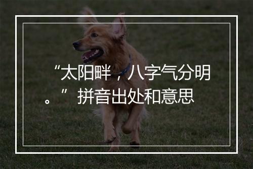 “太阳畔，八字气分明。”拼音出处和意思