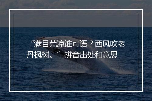 “满目荒凉谁可语？西风吹老丹枫树。”拼音出处和意思