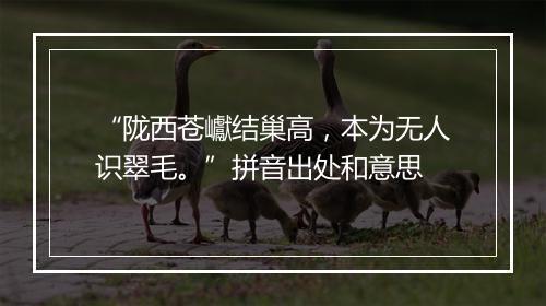 “陇西苍巘结巢高，本为无人识翠毛。”拼音出处和意思