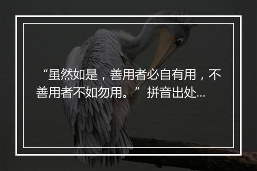 “虽然如是，善用者必自有用，不善用者不如勿用。”拼音出处和意思