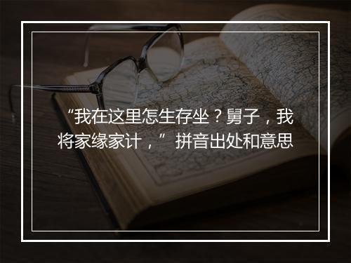 “我在这里怎生存坐？舅子，我将家缘家计，”拼音出处和意思