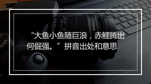 “大鱼小鱼随巨浪，赤鲤腾出何倔强。”拼音出处和意思