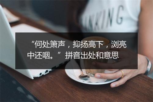 “何处箫声，抑扬高下，浏亮中还咽。”拼音出处和意思