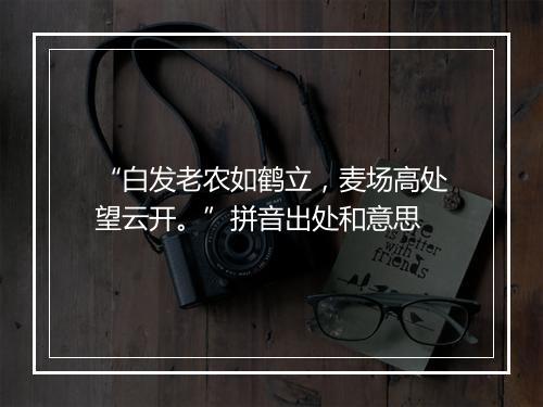 “白发老农如鹤立，麦场高处望云开。”拼音出处和意思