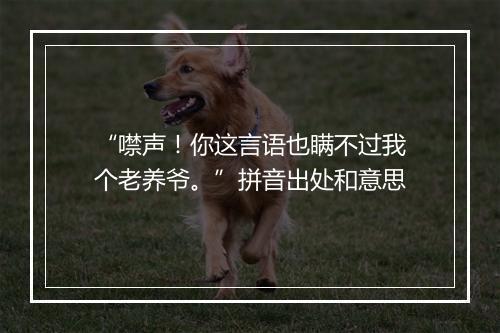 “噤声！你这言语也瞒不过我个老养爷。”拼音出处和意思