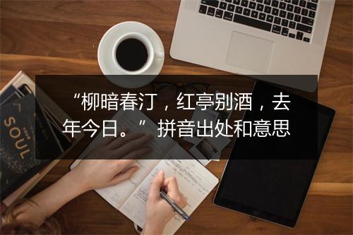 “柳暗春汀，红亭别酒，去年今日。”拼音出处和意思