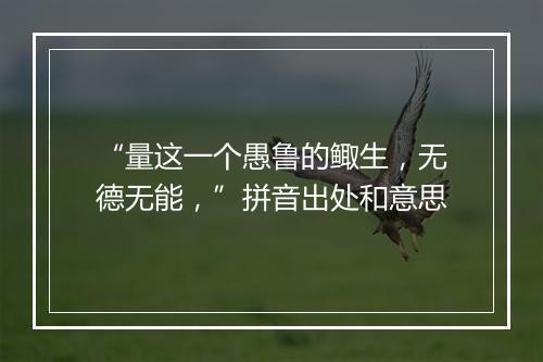 “量这一个愚鲁的鲰生，无德无能，”拼音出处和意思