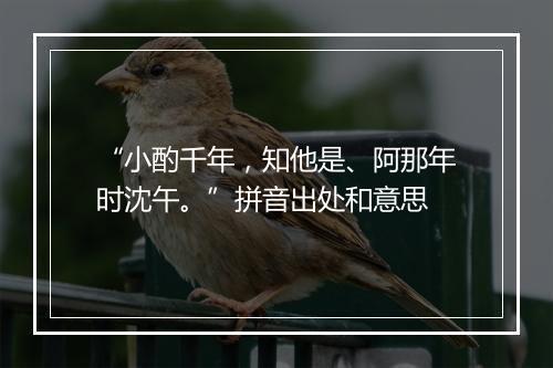 “小酌千年，知他是、阿那年时沈午。”拼音出处和意思