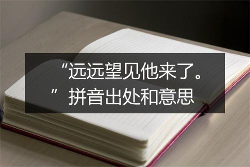 “远远望见他来了。”拼音出处和意思