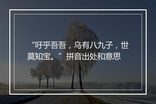 “吁乎吾吾，乌有八九子，世莫知宝。”拼音出处和意思