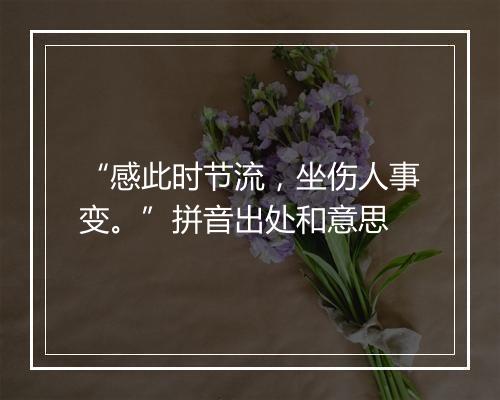 “感此时节流，坐伤人事变。”拼音出处和意思