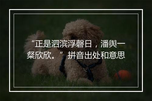 “正是泗滨浮磬日，潘舆一粲欣欣。”拼音出处和意思