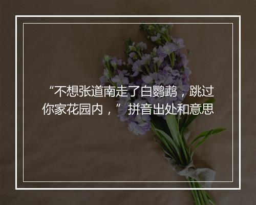 “不想张道南走了白鹦鹉，跳过你家花园内，”拼音出处和意思