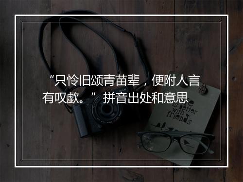 “只怜旧颂青苗辈，便附人言有叹歔。”拼音出处和意思