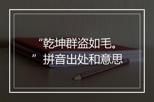 “乾坤群盗如毛。”拼音出处和意思