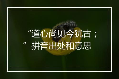 “道心尚见今犹古；”拼音出处和意思