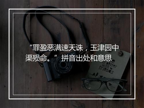 “罪盈恶满速天诛，玉津园中渠殒命。”拼音出处和意思