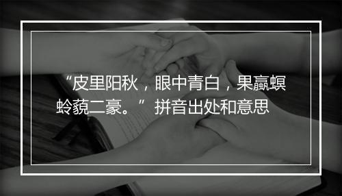 “皮里阳秋，眼中青白，果蠃螟蛉藐二豪。”拼音出处和意思