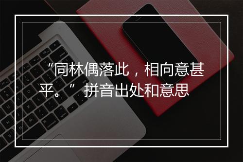 “同林偶落此，相向意甚平。”拼音出处和意思