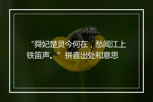 “舜妃楚灵今何在，愁闻江上铁笛声。”拼音出处和意思