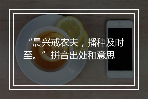 “晨兴戒农夫，播种及时至。”拼音出处和意思