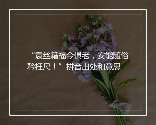 “袁丝籍福今俱老，安能随俗矜枉尺！”拼音出处和意思