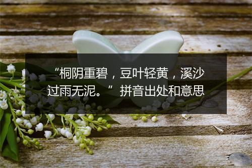 “桐阴重碧，豆叶轻黄，溪沙过雨无泥。”拼音出处和意思