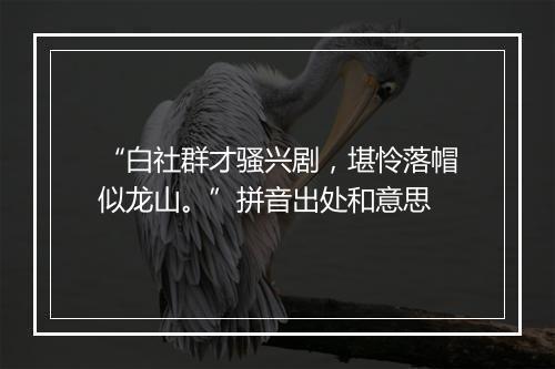 “白社群才骚兴剧，堪怜落帽似龙山。”拼音出处和意思