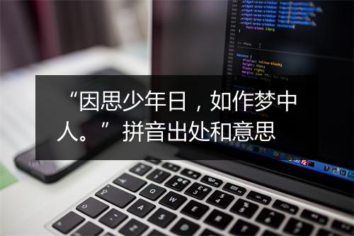 “因思少年日，如作梦中人。”拼音出处和意思