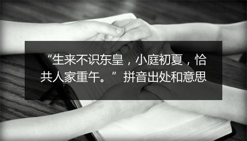 “生来不识东皇，小庭初夏，恰共人家重午。”拼音出处和意思