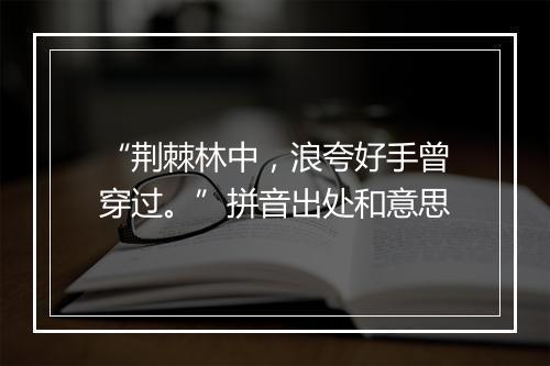 “荆棘林中，浪夸好手曾穿过。”拼音出处和意思