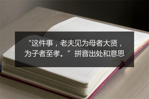 “这件事，老夫见为母者大贤，为子者至孝。”拼音出处和意思