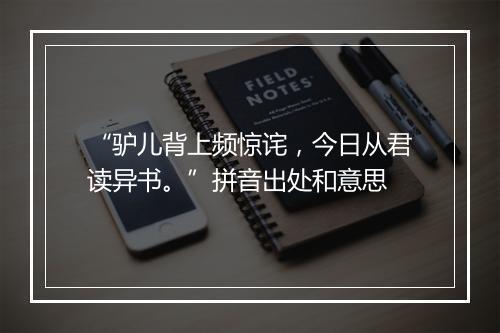 “驴儿背上频惊诧，今日从君读异书。”拼音出处和意思