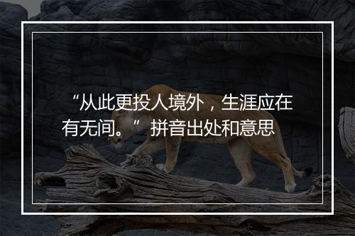 “从此更投人境外，生涯应在有无间。”拼音出处和意思