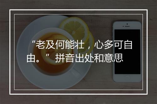 “老及何能壮，心多可自由。”拼音出处和意思