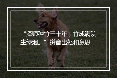 “泽师种竹三十年，竹成满院生绿烟。”拼音出处和意思