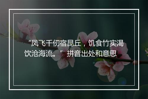 “凤飞千仞宿昆丘，饥食竹实渴饮沧海流。”拼音出处和意思