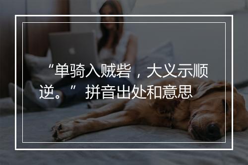 “单骑入贼砦，大义示顺逆。”拼音出处和意思