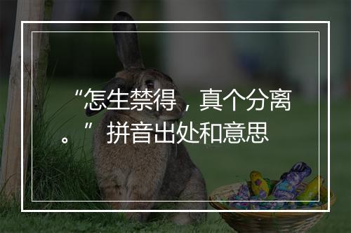 “怎生禁得，真个分离。”拼音出处和意思