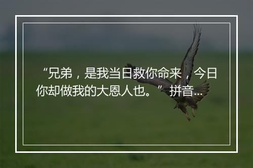 “兄弟，是我当日救你命来，今日你却做我的大恩人也。”拼音出处和意思