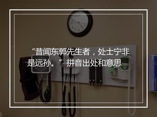 “昔闻东郭先生者，处士宁非是远孙。”拼音出处和意思