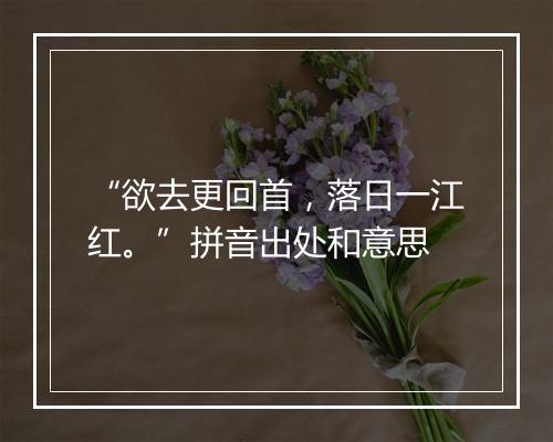 “欲去更回首，落日一江红。”拼音出处和意思