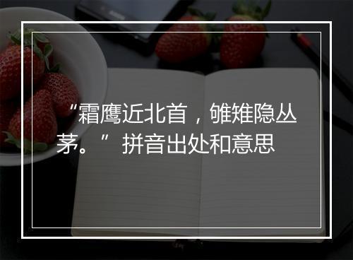 “霜鹰近北首，雊雉隐丛茅。”拼音出处和意思