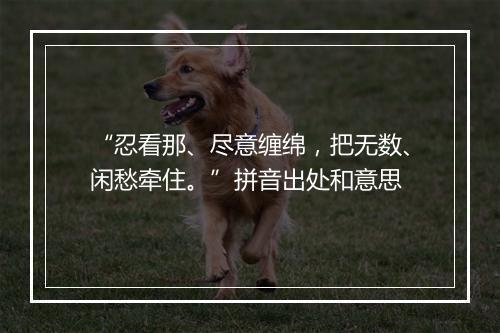 “忍看那、尽意缠绵，把无数、闲愁牵住。”拼音出处和意思