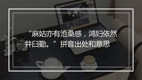 “麻姑亦有沧桑感，鸿妇依然井臼勤。”拼音出处和意思