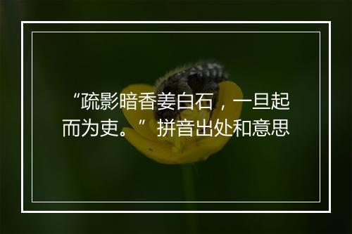 “疏影暗香姜白石，一旦起而为吏。”拼音出处和意思