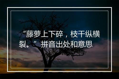 “藤萝上下碎，枝干纵横裂。”拼音出处和意思