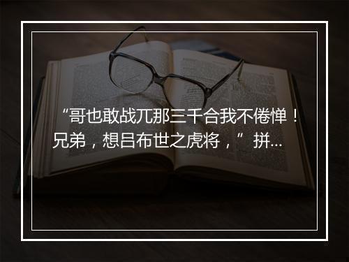 “哥也敢战兀那三千合我不倦惮！兄弟，想吕布世之虎将，”拼音出处和意思