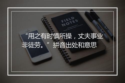 “用之有时慎所操，丈夫事业非徒劳。”拼音出处和意思