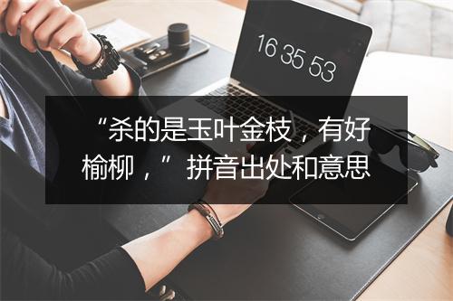 “杀的是玉叶金枝，有好榆柳，”拼音出处和意思